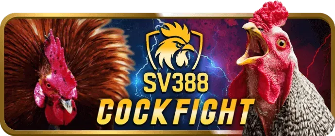 Poker Dwin68